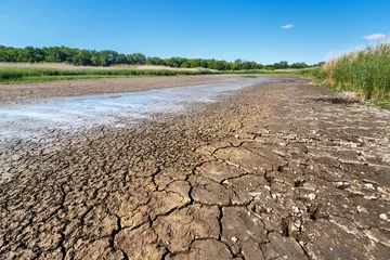 Fototapeten Dry riverbed with cracked ground of bottom, water leftovers in puddles and green plants on sides in summer heat weather © Alexey Slyusarenko