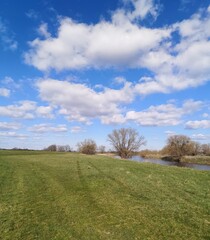 Obraz premium field and sky