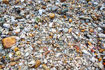 background texture nature stone and shellfish arrangement flat lat on the beach