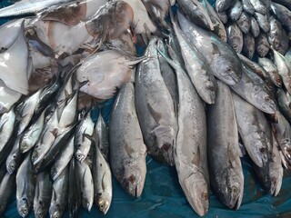 Obraz premium Fresh fish at the traditional market this morning