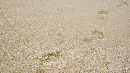 Footprints on the beach sand, Surface of human footmarks on smooth sand at the seaside, In summer, Texture background