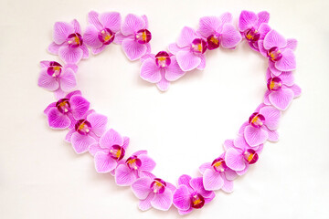 Orchid flowers on a white background in the shape of a heart. The flowers are purple in color.