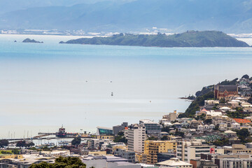 Wellington city harbour on a hot day, view from Brooklyn, Wellington, New Zealand.