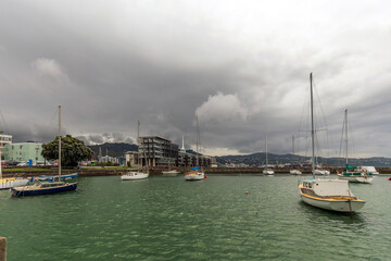 Fototapeta premium Wellington, New Zealand - December 01, 2019: Sail boats in the marina at Oriental Bay in Wellington, New Zealand