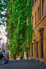 Naklejka premium view of the trastevere district, rome, italy