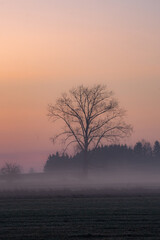 Fototapeta na wymiar Mgły o wschodzie słońca