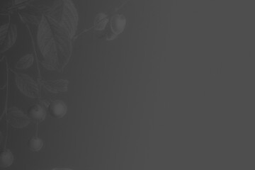 Gray floral border background