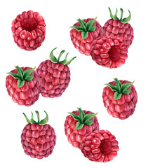 Watercolor berries set. 