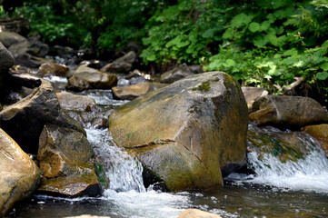 waterfall in the forest