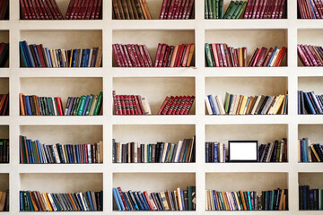 Shelves with lots of paper books and a frame in the hall
