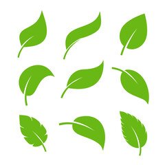 Leaf vector icon logo. Vegan leaves green eco flat herbal icon simple shape