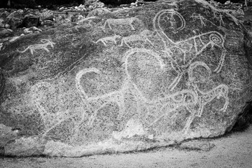Petroglyphs on the rocks in Kazakhstan. The ancient parking cave man. Historical cave paintings....