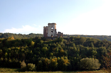 ruins of the castle