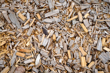 Wood with a fine structure, photographed outdoors in daylight