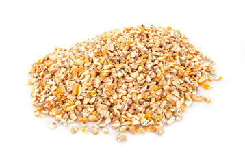 corn in studio