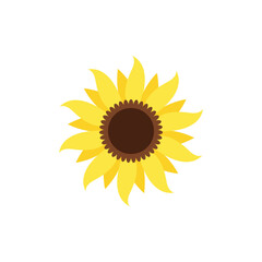 Sunflower icon design template vector