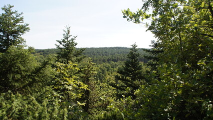 Vista lungo il sentiero sui monti delle Cesane nelle Marche