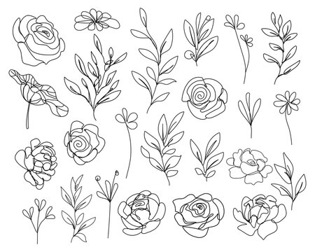 Continuous Line Drawing Set Of Flowers, Leaves, Plants Black Sketch Isolated on White Background. Simple Flowers One Line Illustration Set. Minimalist Botanical Drawing. Vector EPS 10.