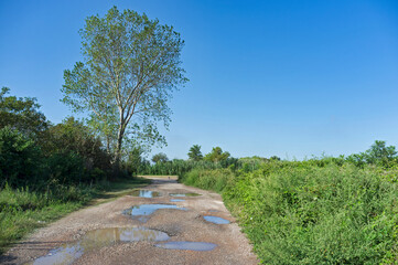 Dirt road with large puddles