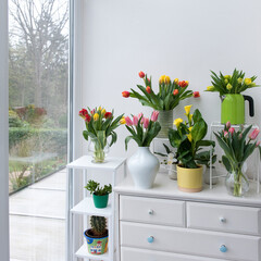 Bunte Blumen und Pflanzen am Fenster
