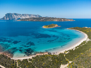 Punta Est, Capo Coda Cavallo - San Teodoro