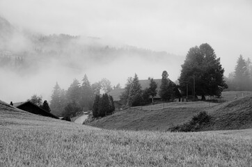 Nebel und Regen in den Hügeln vom Emmental © Dora