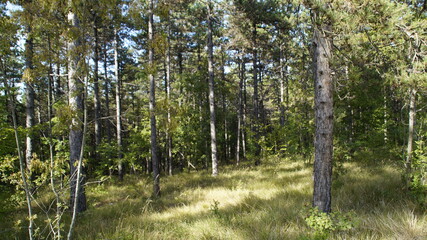 Vista lungo il sentiero sui monti delle Cesane nelle Marche