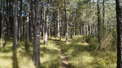 Vista lungo il sentiero sui monti delle Cesane nelle Marche