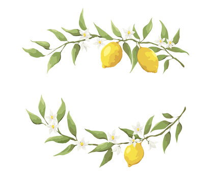 Summer card with lemon branch. Design elements with flowers and fruits, vector illustration, background.