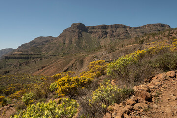 Senderismo en el Barranco de Fataga, Gran Canaria