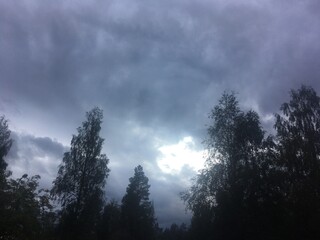 Obraz premium clouds in the forest