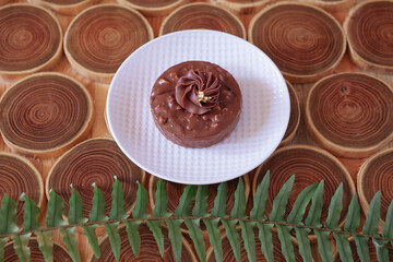 chocolate dessert with filling of caramel, nuts and nougats. The cake is covered with chocolate on a wooded background with a morning natural light