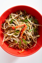 Udon noodle with teriyaki chicken and vegetable. Asian style noodle food on white background. Teriyaki chicken noodle in red bowl with sesame and onion.