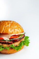 juicy hamburger on a white plate in the studio