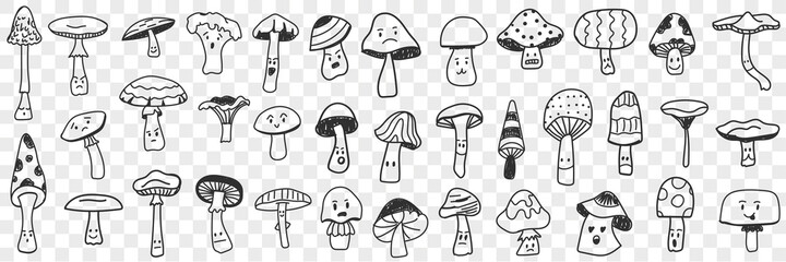 Edible and inedible mushroom doodle set. Collection of hand drawn edible and inedible mushrooms types growing in forest for picking isolated on transparent background