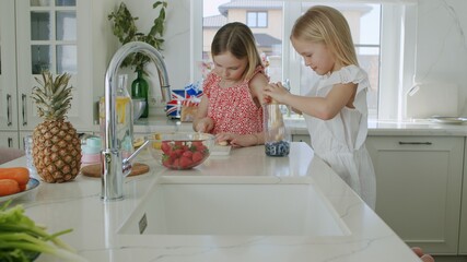 Two caucasian sisters make smoothie