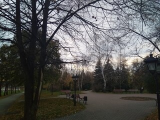 sunset in the park