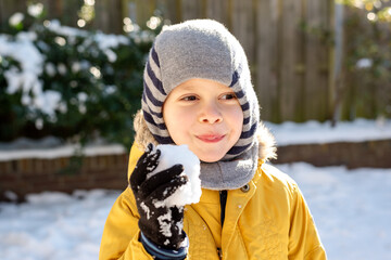 Portrait of a little boy with a snowball in his hand.