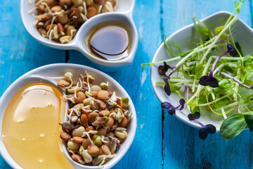 Vegan and healthy eating. Sprouts seeds.New life concept. Growing microgreen sprouts close up view. Germination of seeds at home. Detox