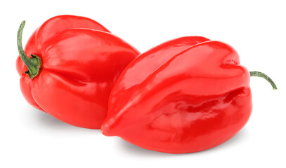 Habanero chili red hot pepper isolated on white background. clipping path