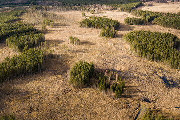 Fototapeta na wymiar View with swampy forests, lakes and tree clusters, Latvia. Captured from above.