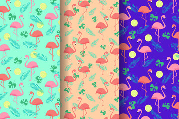 Set of three Seamless pattern of coral flamingos and palm leaves. Pastel background Wallpaper. Vector.
