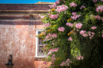 facade of a building in Faro, Portugal with flowers