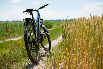 Fototapeta premium bike stands on the road in the field. A mountain bike stands on a field path with green grass. Mountain bike. wheat field, sunny day. ride a bike. focus on the rear wheel