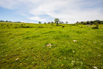 Spring landscape in Falgars D En Bas, La Garrotxa, Spain