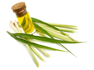 Lemon Grass with Lemongrass Oil on white Background Isolated