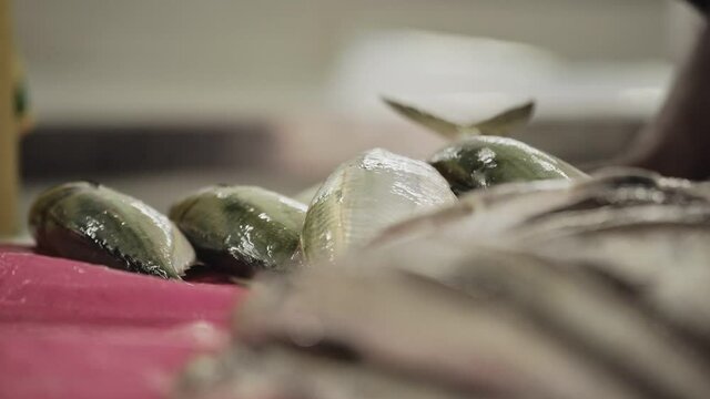 Fisherman counting fish on a fish market Stand in Oman, Middle East - Close up Detail shot