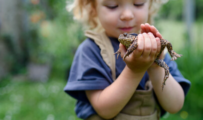 Close up portrait of small girl holding a frog outdoors in summer.
