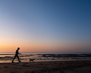 man walks dog on beach during sunset