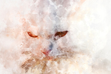 White persian kitten with watercolor paint effect